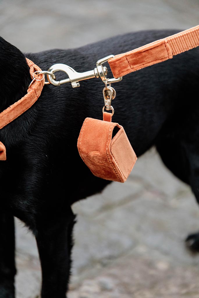 Hundeposetaske Fløjl (Orange) - Woofio