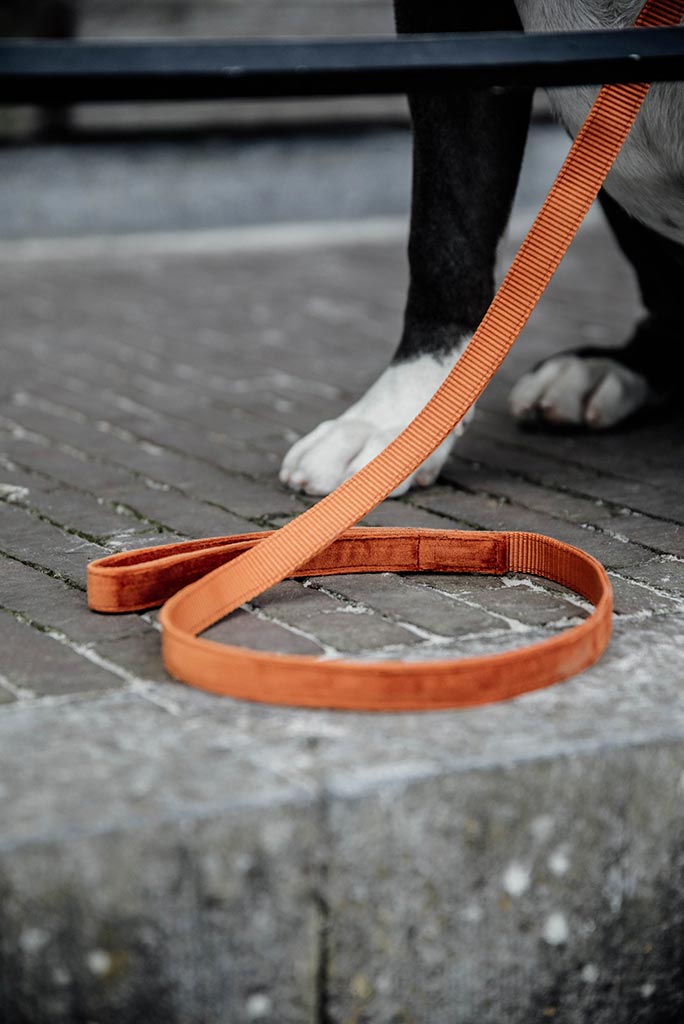 Hundesnor Fløj 120 cm. (Orange) - Woofio